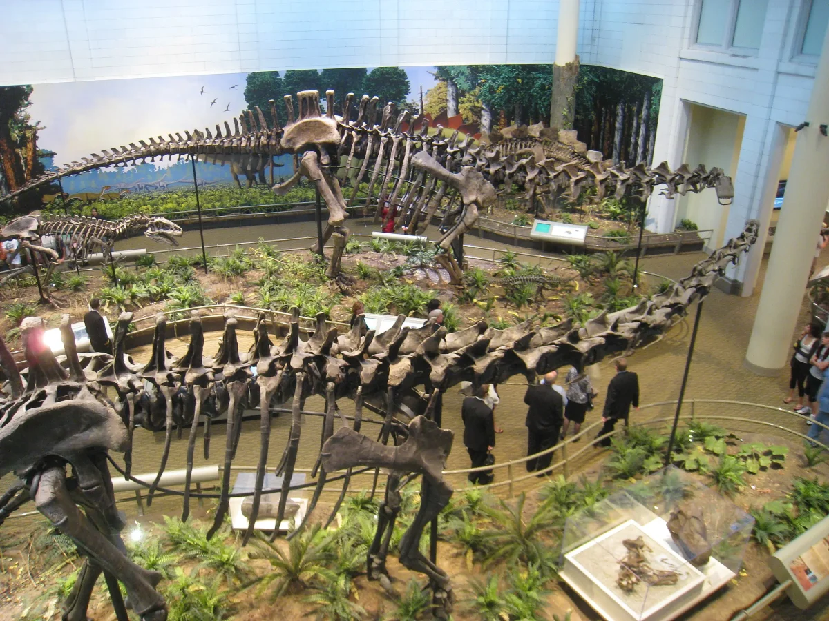 the dinosaur exhibit at Carnegie Museum of Natural History